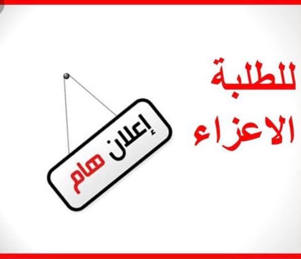 71072437 2388903944498427 6579193210826915840 n